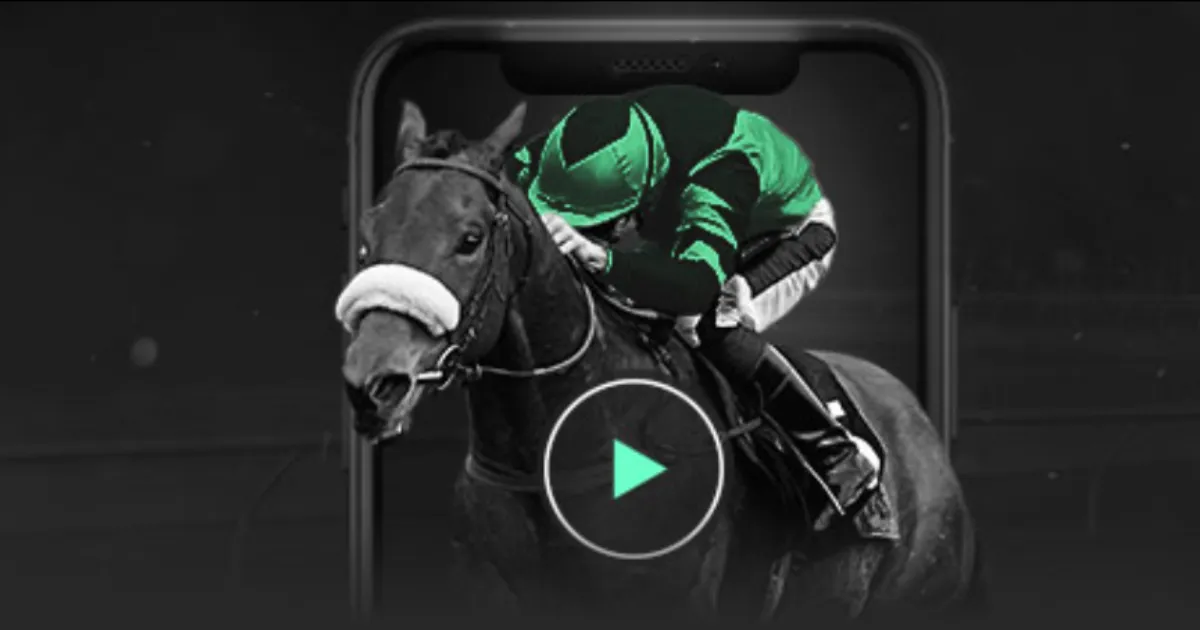 揭秘,瑞典足球传,奇教练埃里,bet365,bet365体育,bet365官网,bet365网址