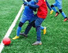 沙頭角红花,嶺郊遊徑,揭秘槍堡戰,bet365,bet365体育,bet365官网,bet365网址