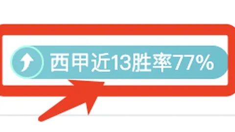 惠灵顿凤凰连战告捷，澳甲豪取8胜6平，为何后市表现却现隐忧？揭秘退档背后真相！