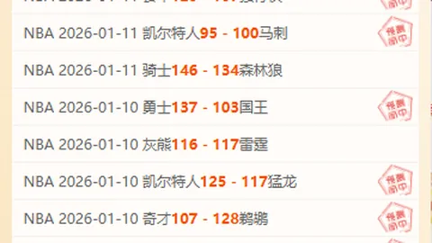 霍芬海姆对阵勒沃库森：德甲第3轮焦点之战