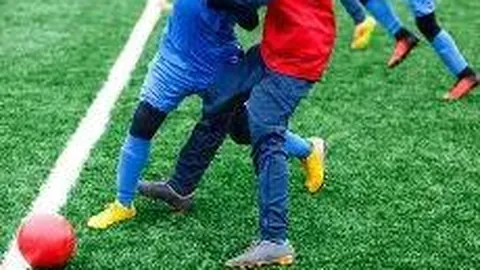 沙頭角红花嶺郊遊徑：揭秘槍堡戰跡，盡收海天美景